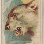 Trade Card Onist Milk and Pullman Bread